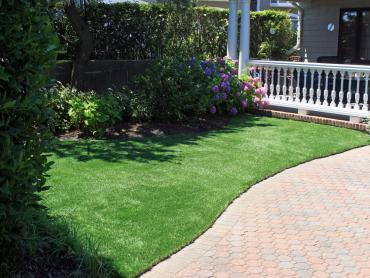 Artificial Grass Photos: Artificial Grass Carpet Ambler, Pennsylvania Lawn And Garden, Front Yard Design