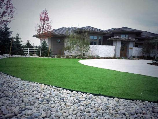 Artificial Grass Photos: Artificial Grass Carpet Avoca, Pennsylvania Landscape Rock, Small Front Yard Landscaping