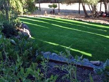 Artificial Grass Photos: Artificial Grass Carpet Brickerville, Pennsylvania Backyard Deck Ideas, Backyard Garden Ideas