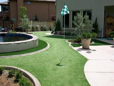 Artificial Grass Photos: Artificial Grass Carpet Deer Lake, Pennsylvania How To Build A Putting Green, Backyard Designs