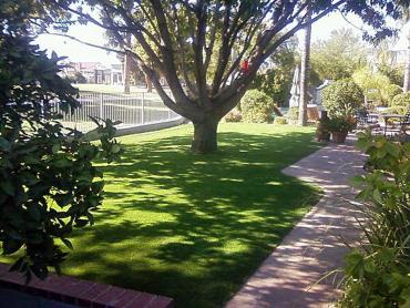 Artificial Grass Photos: Artificial Grass Carpet Ephrata, Pennsylvania Landscaping