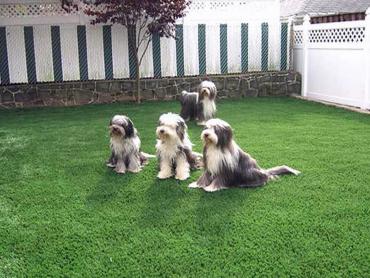 Artificial Grass Photos: Artificial Grass Carpet Holiday Pocono, Pennsylvania Landscaping, Backyard Ideas