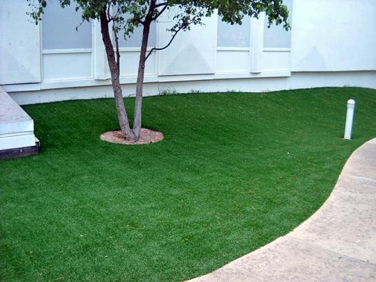 Artificial Grass Photos: Artificial Grass Carpet Manchester, Pennsylvania Landscape Rock, Commercial Landscape