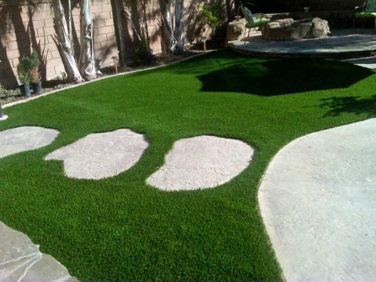 Artificial Grass Photos: Artificial Grass Carpet Milford, Pennsylvania Home And Garden, Backyard Garden Ideas