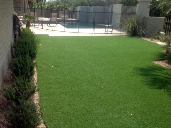 Artificial Grass Photos: Artificial Grass Carpet Mountainhome, Pennsylvania Landscape Ideas, Backyard Ideas