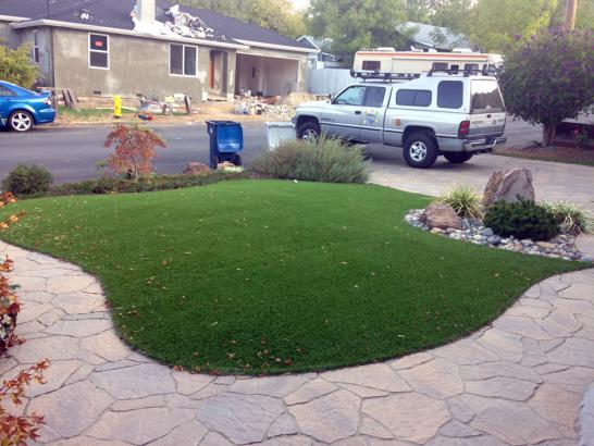 Artificial Grass Photos: Artificial Grass Carpet New Freedom, Pennsylvania Paver Patio, Landscaping Ideas For Front Yard