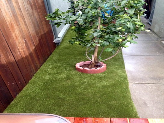 Artificial Grass Carpet Oreland, Pennsylvania Landscaping Business, Backyard Landscaping Ideas artificial grass