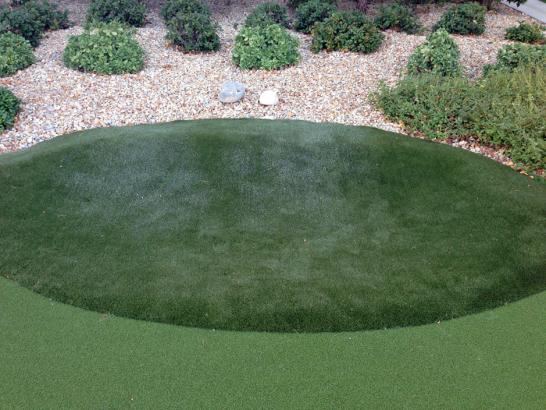 Artificial Grass Photos: Artificial Grass Carpet Palmdale, Pennsylvania Landscape Ideas