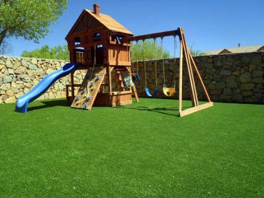 Artificial Grass Photos: Artificial Grass Carpet Refton, Pennsylvania Lacrosse Playground, Backyard Designs