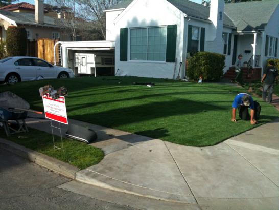 Artificial Grass Photos: Artificial Grass Carpet Shenandoah Heights, Pennsylvania Home And Garden, Small Front Yard Landscaping