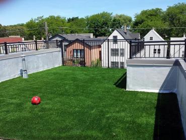 Artificial Grass Photos: Artificial Grass Carpet Silverdale, Pennsylvania Rooftop, Roof Top