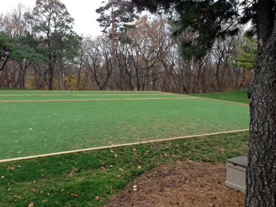 Artificial Grass Photos: Artificial Grass Carpet Tower City, Pennsylvania City Landscape