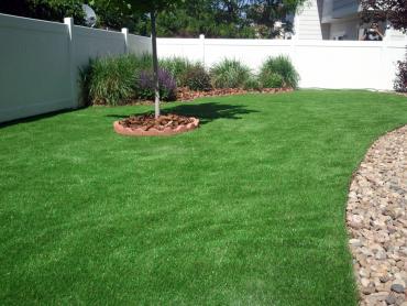 Artificial Grass Carpet West Conshohocken, Pennsylvania Backyard Playground, Backyards artificial grass