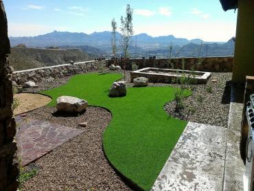 Artificial Grass Photos: Artificial Grass Dauberville, Pennsylvania Dog Parks, Backyard Landscape Ideas