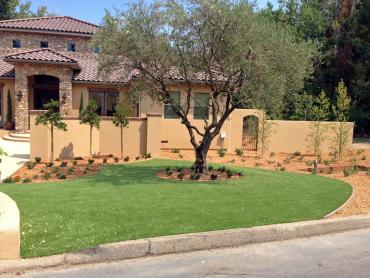 Artificial Grass Photos: Artificial Grass East Greenville, Pennsylvania Landscape Photos, Small Front Yard Landscaping