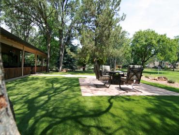 Artificial Grass Photos: Artificial Grass East Norriton, Pennsylvania Rooftop, Backyard Design