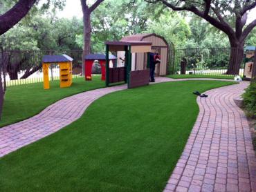 Artificial Grass Photos: Artificial Grass Fairless Hills, Pennsylvania Landscaping Business, Commercial Landscape