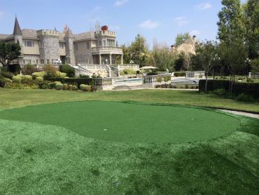 Artificial Grass Photos: Artificial Grass Installation Broomall, Pennsylvania Artificial Putting Greens, Landscaping Ideas For Front Yard