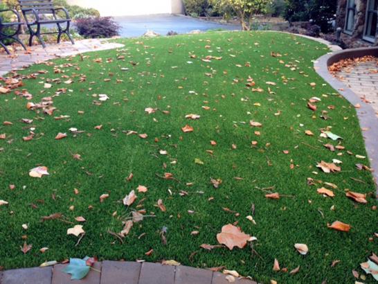 Artificial Grass Photos: Artificial Grass Installation Dover, Pennsylvania Lawns, Front Yard Landscaping Ideas