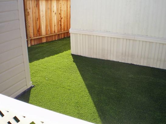 Artificial Grass Photos: Artificial Grass Installation Glen Lyon, Pennsylvania Fake Grass For Dogs, Backyard Design