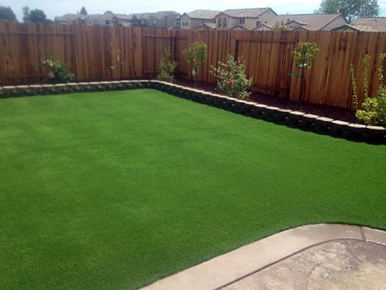 Artificial Grass Photos: Artificial Grass Installation Hummelstown, Pennsylvania Rooftop, Backyard Garden Ideas