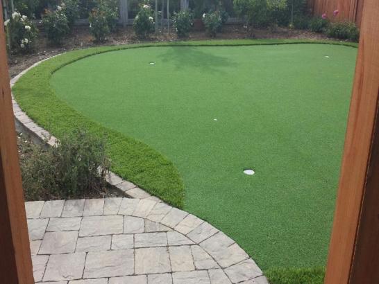 Artificial Grass Photos: Artificial Grass Installation Oneida, Pennsylvania Artificial Putting Greens, Backyard Garden Ideas