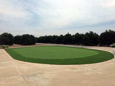 Artificial Grass Photos: Artificial Grass Installation Penryn, Pennsylvania Putting Green Carpet, Front Yard Design