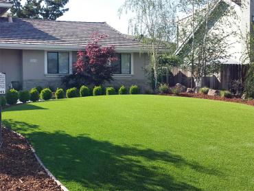 Artificial Grass Photos: Artificial Grass Installation Richlandtown, Pennsylvania Roof Top, Front Yard Design