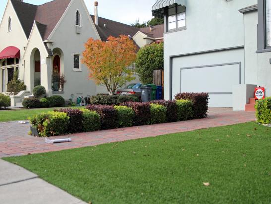 Artificial Grass Photos: Artificial Grass Installation Wormleysburg, Pennsylvania Landscape Photos, Landscaping Ideas For Front Yard