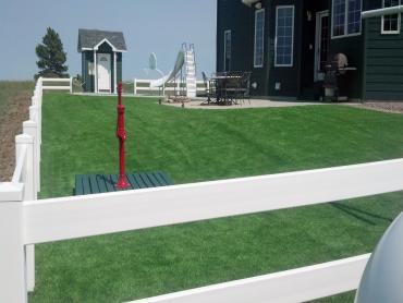 Artificial Grass Photos: Artificial Grass Leesport, Pennsylvania Landscape Photos, Front Yard