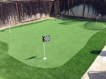 Artificial Grass Photos: Artificial Grass Linwood, Pennsylvania Garden Ideas, Beautiful Backyards