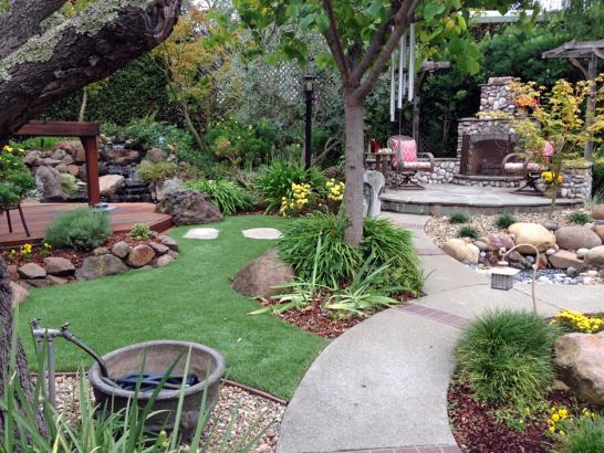 Artificial Grass Photos: Artificial Grass Paxtonia, Pennsylvania Landscaping, Small Backyard Ideas