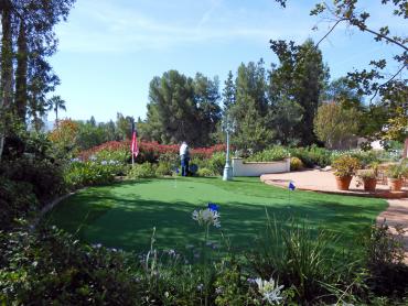 Artificial Grass Photos: Artificial Grass Slatington, Pennsylvania Paver Patio, Backyard