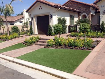 Artificial Grass Photos: Artificial Grass Stewartstown, Pennsylvania Roof Top, Small Front Yard Landscaping