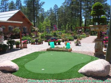 Artificial Grass Tioga, Pennsylvania Putting Green, Backyard Landscaping Ideas artificial grass