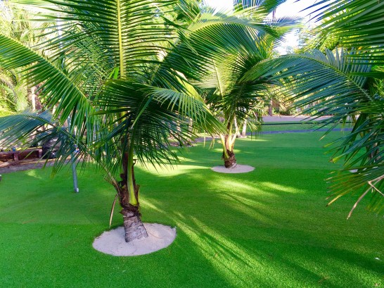 Artificial Grass Photos: Artificial Lawn Chalfont, Pennsylvania Backyard Deck Ideas, Commercial Landscape