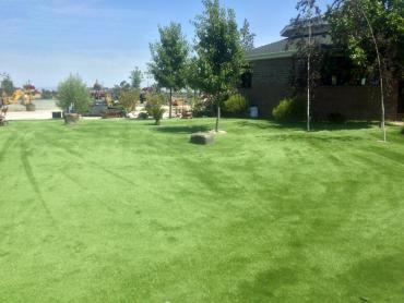 Artificial Grass Photos: Artificial Lawn Dublin, Pennsylvania Lawn And Garden, Recreational Areas