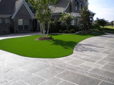 Artificial Grass Photos: Artificial Lawn East Bangor, Pennsylvania Garden Ideas, Front Yard Landscaping Ideas