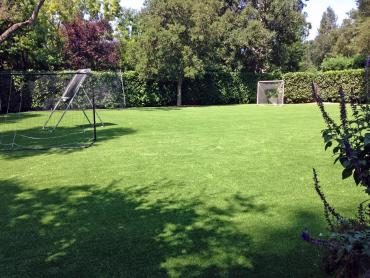 Artificial Grass Photos: Artificial Lawn Hellertown, Pennsylvania Rooftop, Backyard