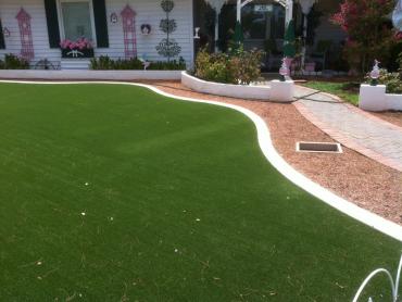 Artificial Grass Photos: Artificial Lawn Langhorne Manor, Pennsylvania Design Ideas, Small Front Yard Landscaping