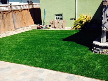 Artificial Grass Photos: Artificial Lawn Lititz, Pennsylvania Backyard Playground, Backyard Landscaping Ideas