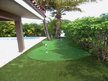 Artificial Grass Photos: Artificial Lawn Montrose Manor, Pennsylvania Backyard Putting Green, Backyards