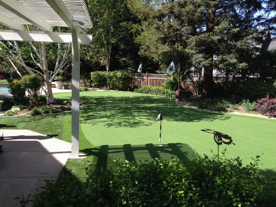 Artificial Grass Photos: Artificial Lawn New Britain, Pennsylvania Paver Patio