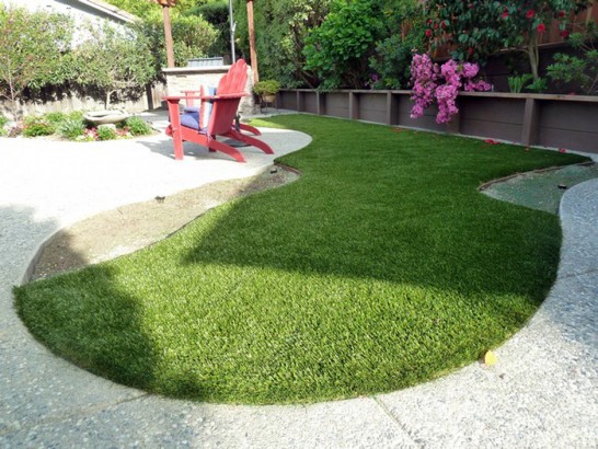 Artificial Grass Photos: Artificial Lawn North Wales, Pennsylvania Roof Top, Backyard Landscape Ideas