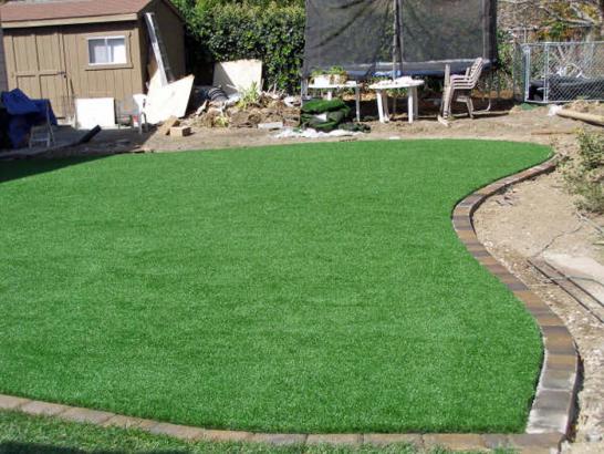 Artificial Grass Photos: Artificial Lawn Plains, Pennsylvania Rooftop, Small Backyard Ideas