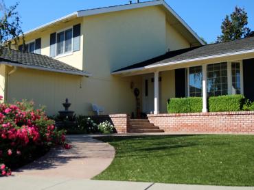 Artificial Grass Photos: Artificial Lawn Pleasant Hill, Pennsylvania Backyard Deck Ideas, Front Yard Landscaping