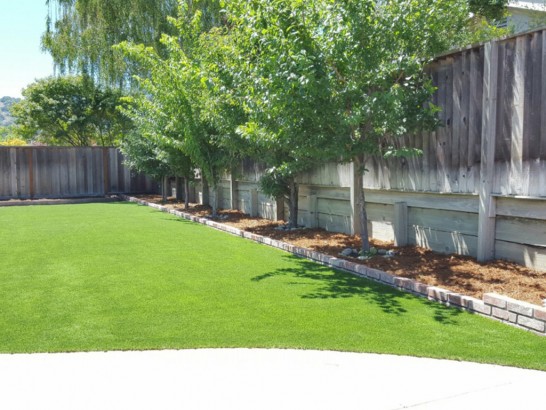 Artificial Lawn Pottstown, Pennsylvania Home And Garden, Small Backyard Ideas artificial grass