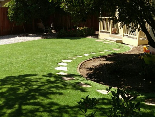 Artificial Lawn Upland, Pennsylvania Landscaping Business, Backyard Landscaping artificial grass