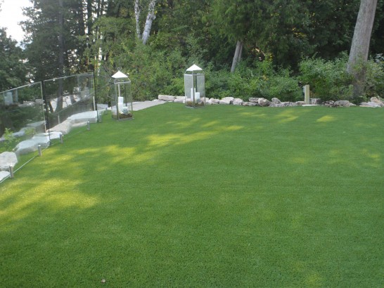 Artificial Turf Bedminster, Pennsylvania Landscape Ideas, Backyard Landscaping artificial grass