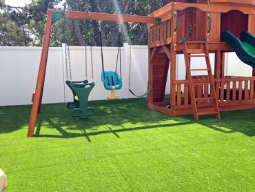 Artificial Grass Photos: Artificial Turf Cost Kempton, Pennsylvania Kids Indoor Playground, Backyards